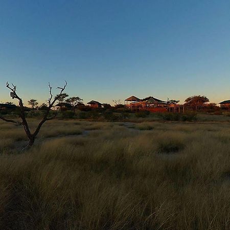 Suricate Tented Lodge Mariental Eksteriør billede