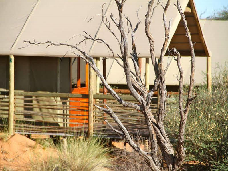 Suricate Tented Lodge Mariental Eksteriør billede