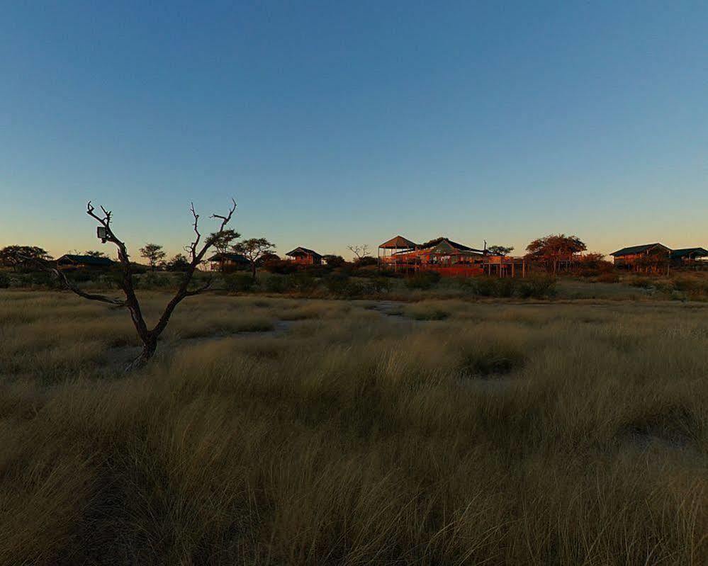 Suricate Tented Lodge Mariental Eksteriør billede