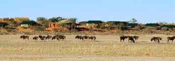 Suricate Tented Lodge Mariental Eksteriør billede